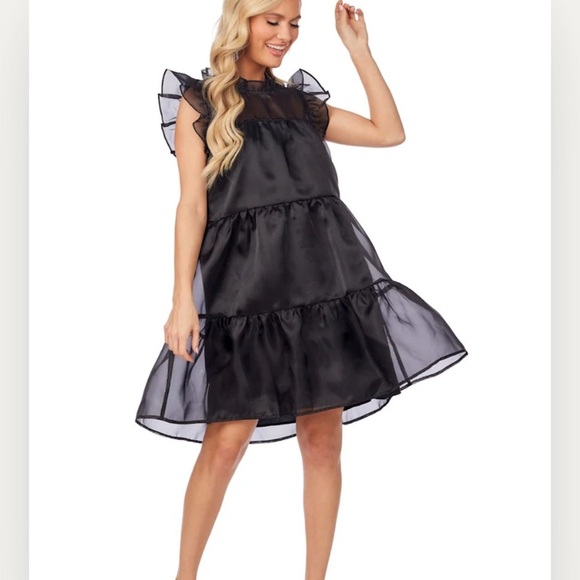 Mud Pie Black Sheer Ruffle Sleeve Tired Babydoll Whimsigoth Holiday Mini Dress - Picture 1 of 14